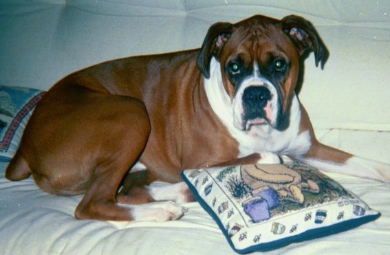 Seamus