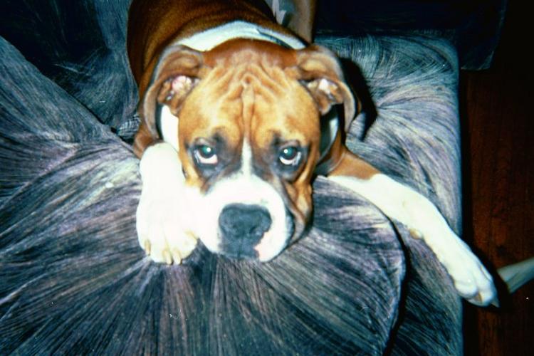 Seamus2003