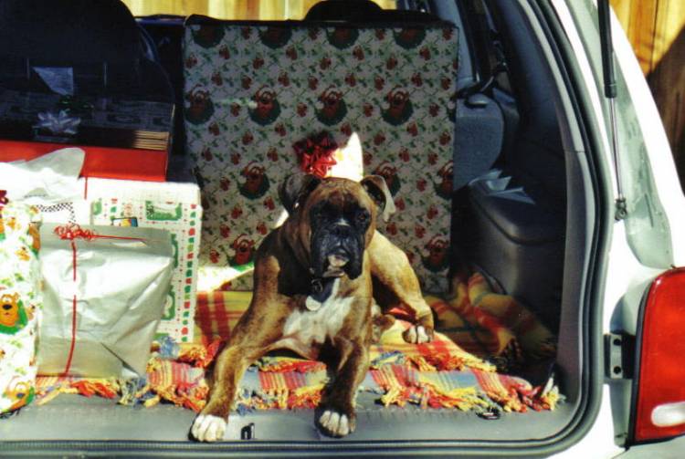 security guard