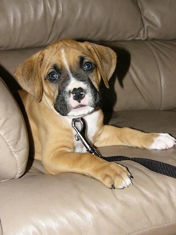 See how cute I can be?