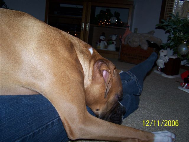 See how I fit on moms lap :)