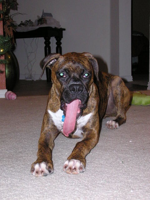 See how long my tongue is!!