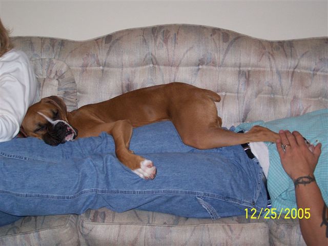 See- I can be comfortable anywhere!