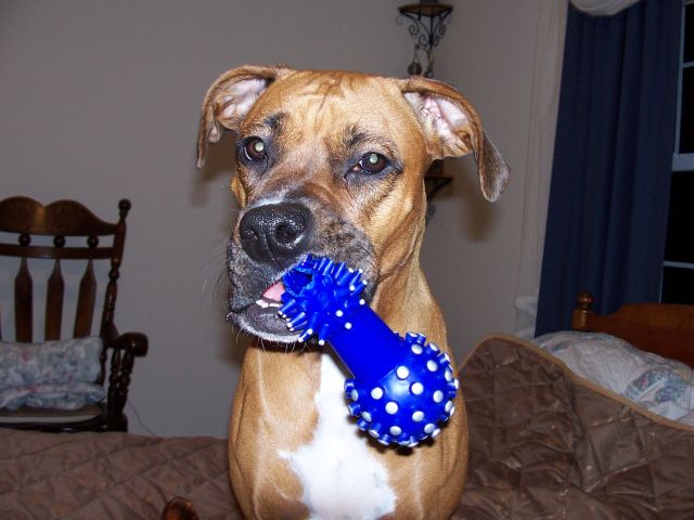 See my new toy mom!!