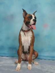 See my pretty profile and big tongue!