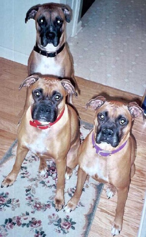 See..we can sit pretty