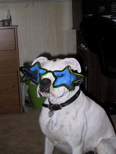 Seeing Stars