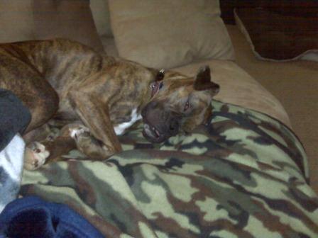 seepy_girl_smaller