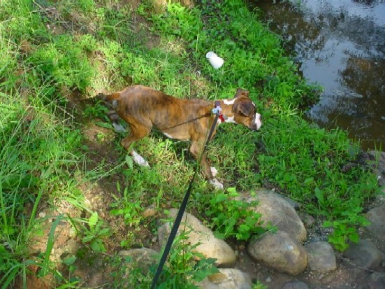 sees_something
