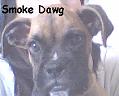 ~Senor Smoke~
