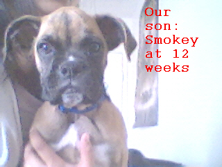 ~Senor Smokey~