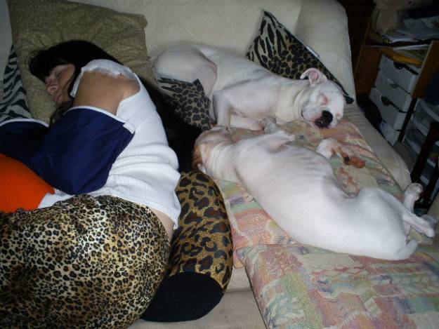 Sequoia + TaTanka help Mommy heal.... NapTime!