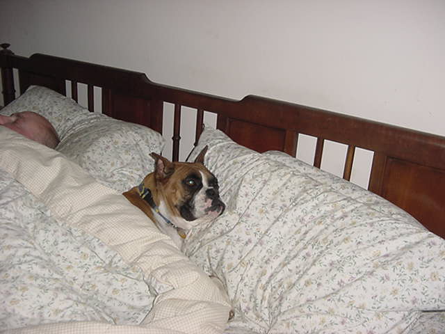 Sera's favorite place