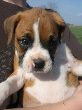 Serena's first picture