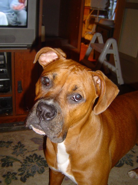 Serious face