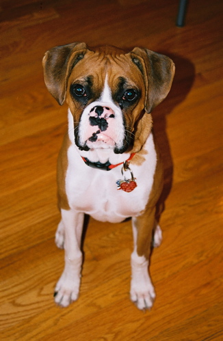 Seven months old!