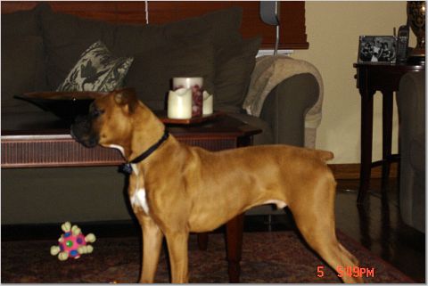 seven months old