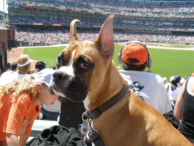 SF Giants vs Houston Astros @ SBC Park
