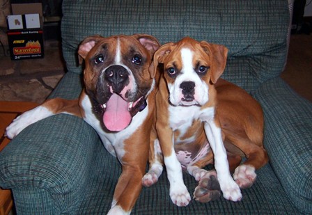 Shadeaux and Shelby in Daddy's recliner