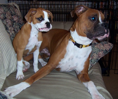 Shadeaux and Shelby