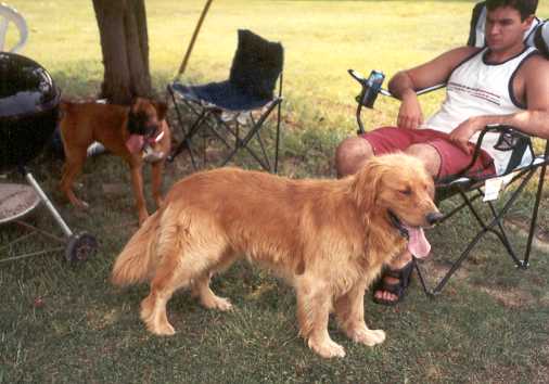 Shadow & Duchess
