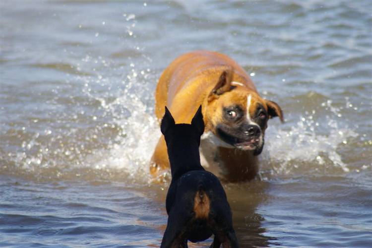 Shake it off baby!