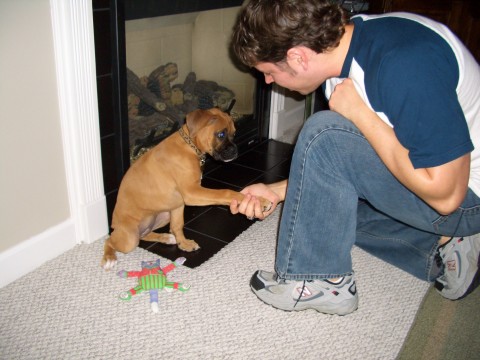 Shaking Daddy's Hand