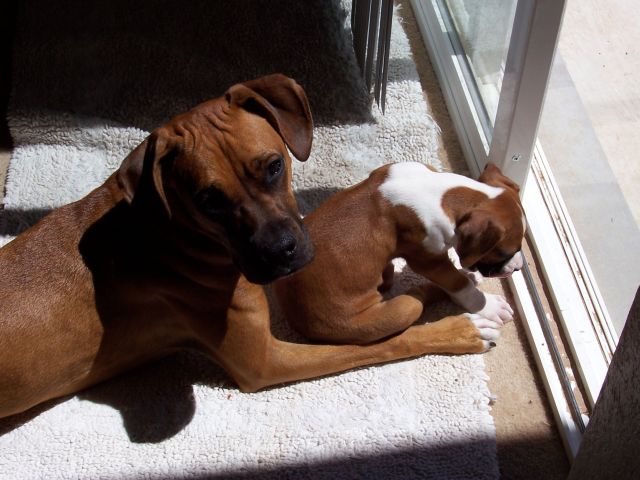 Sharin the Rays...