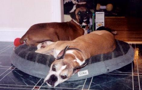 Sharing a bed