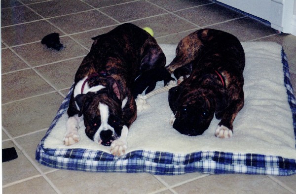 Sharing a rest spot