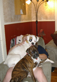 Sharing mama's lap