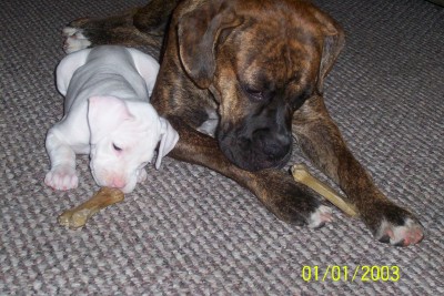 Sharing Space.