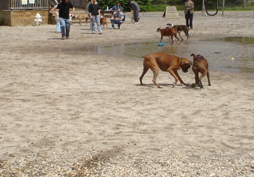 Sharing the ball