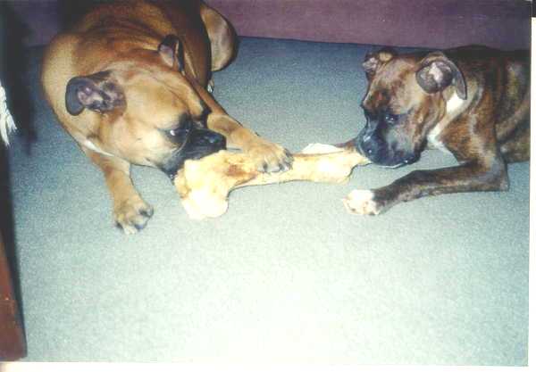 Sharing