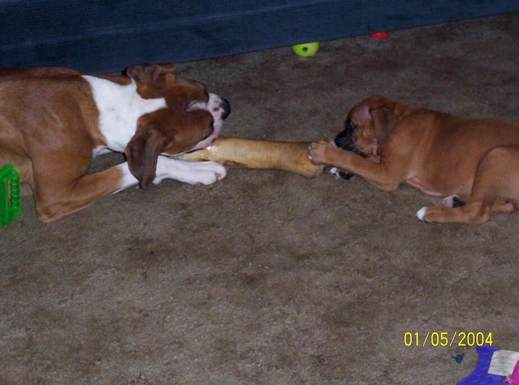 Sharing!