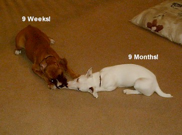 Sharing