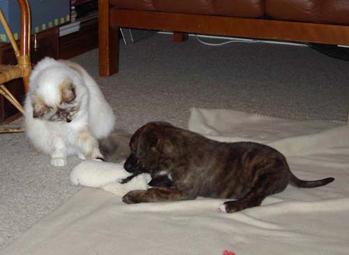 Sharing