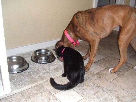Sharing