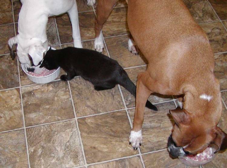 Sharing