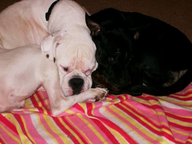 sharing_blanky