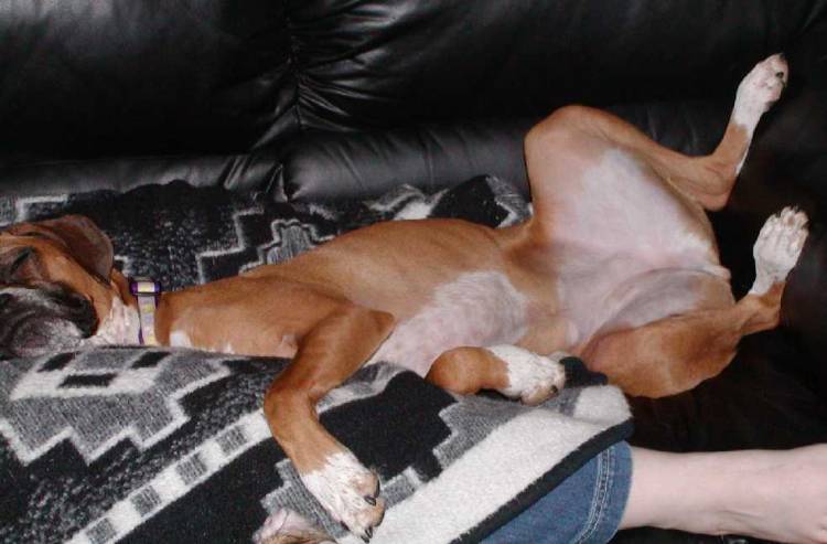 She is NOT lady like!