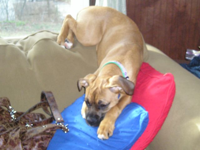 she is so so so silly!!!