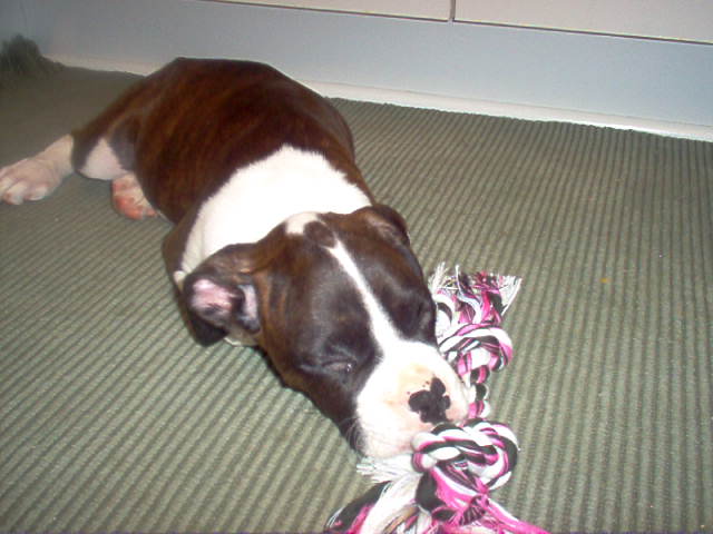 She is so sweet