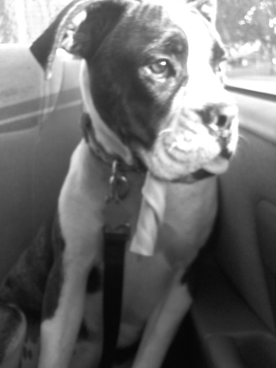 She loves her treats