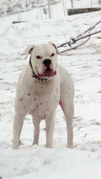 She loves snow!