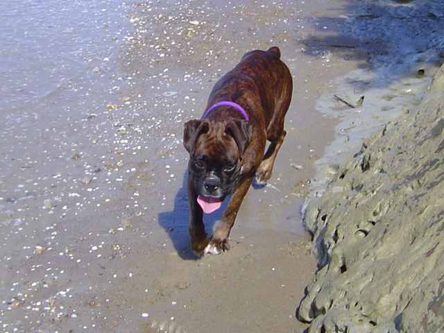 She loves the beach