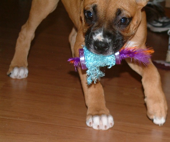 She loves to hate it!