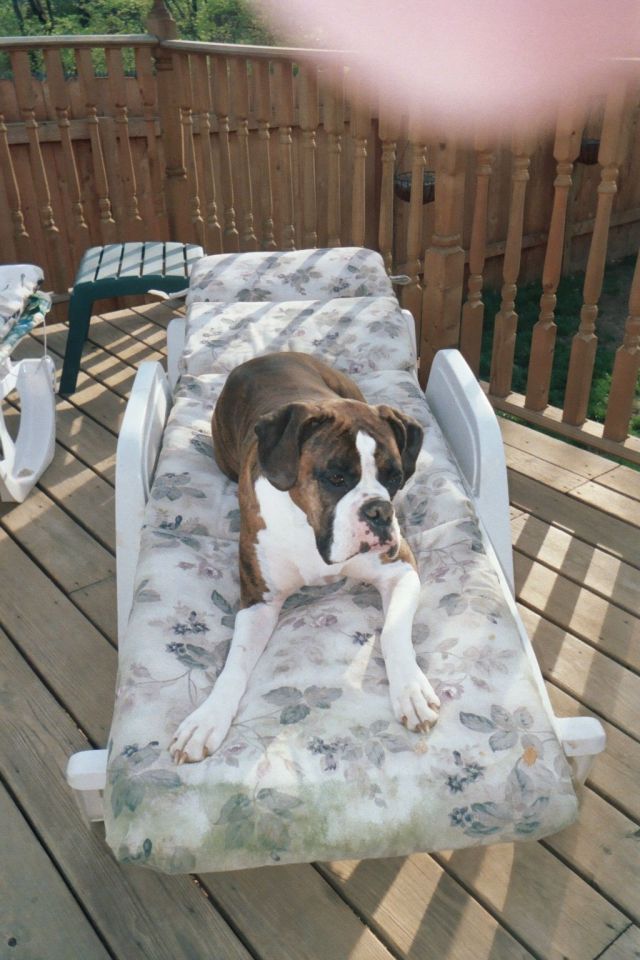 She thinks that's her lounge chair