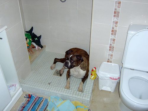 She would not get out