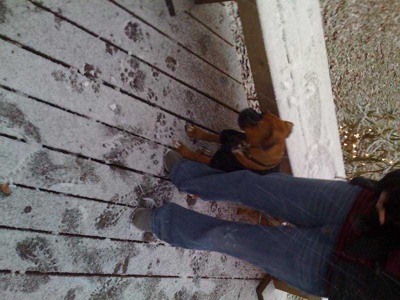 Shebly snow